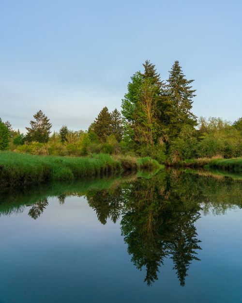 Free A tranquil lake scene with tree reflections in Washington, USA. Stock Photo