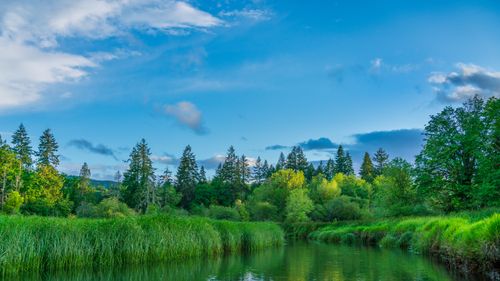 Free A tranquil river scene with vibrant greenery under a clear blue sky, perfect for nature inspiration. Stock Photo