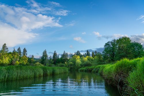 Free Scenic view of a river surrounded by lush greenery under a vibrant blue sky. Stock Photo