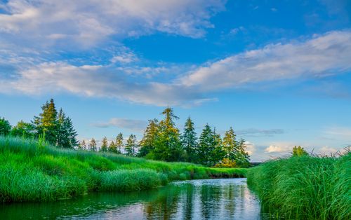 Free Tranquil river landscape with lush green grass and a clear blue sky, perfect for nature themes. Stock Photo