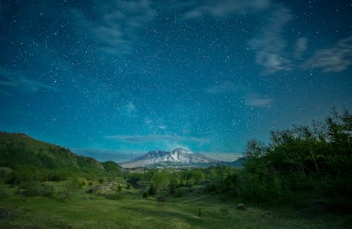 Foto d'estoc gratuïta de arbres, cel, estrelles