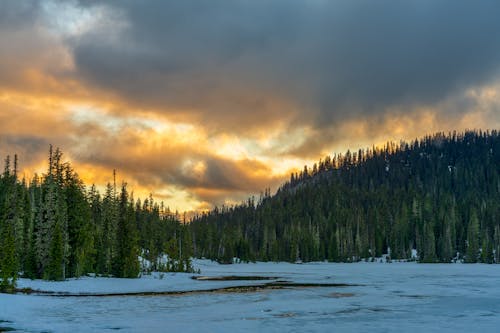 Frozen Lake and Forest at Sunset 