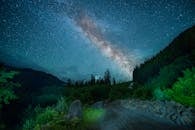 Green Trees Under Blue Sky during Night Time