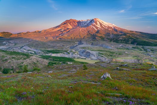Breathtaking view of Mount St. Helens with lush foreground at sunrise, showcasing nature's beauty.