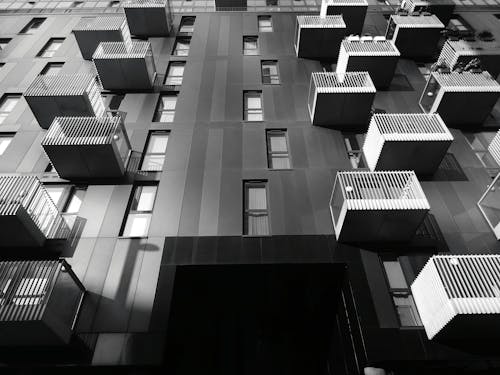 免费 高层建筑的灰度照片 素材图片