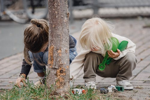 Gratis stockfoto met aanbiddelijk, activiteit, anoniem