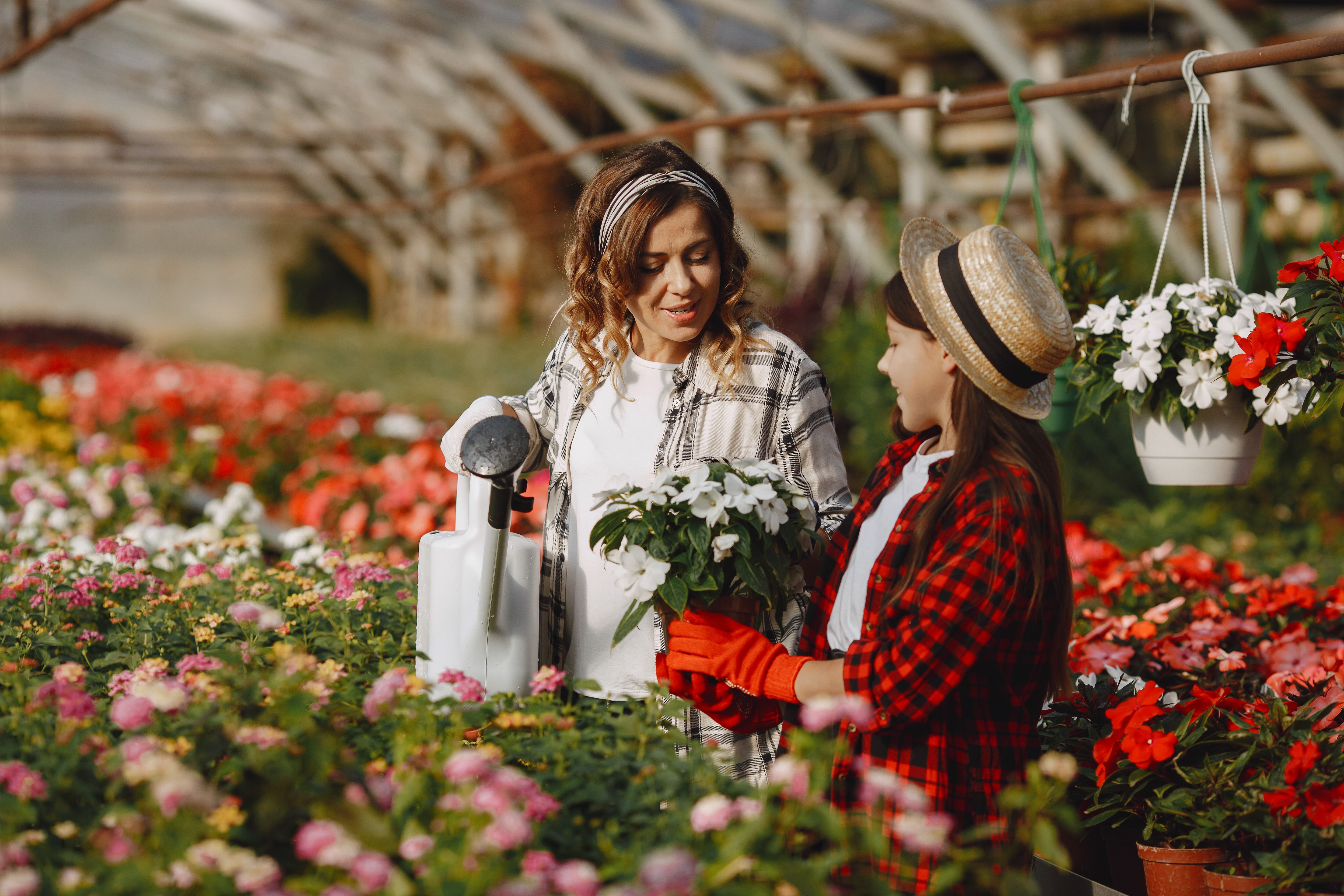 Jardinage entre particuliers votre ville - Askaide