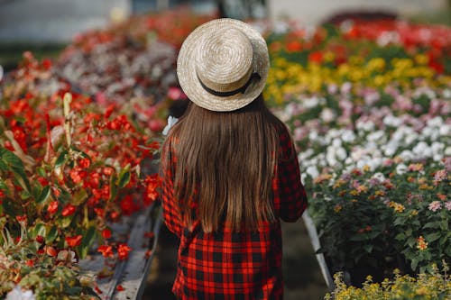 Back View of Person Wearing Red Plaid Shirt and Straw Hat