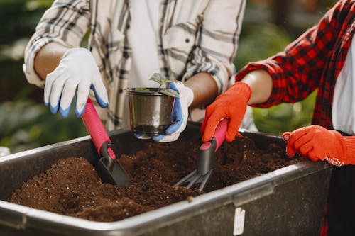 Close-Up Shot of Two People Getting Soil