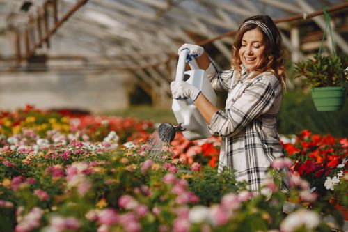 Free Smiling woman watering colorful flowers in a greenhouse garden. Stock Photo