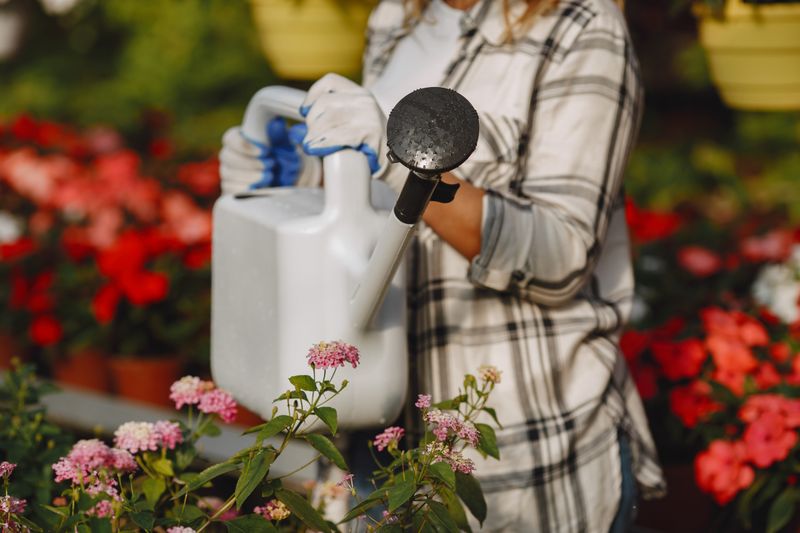 A person watering vibrant flowers in a sunny garden setting with a watering can