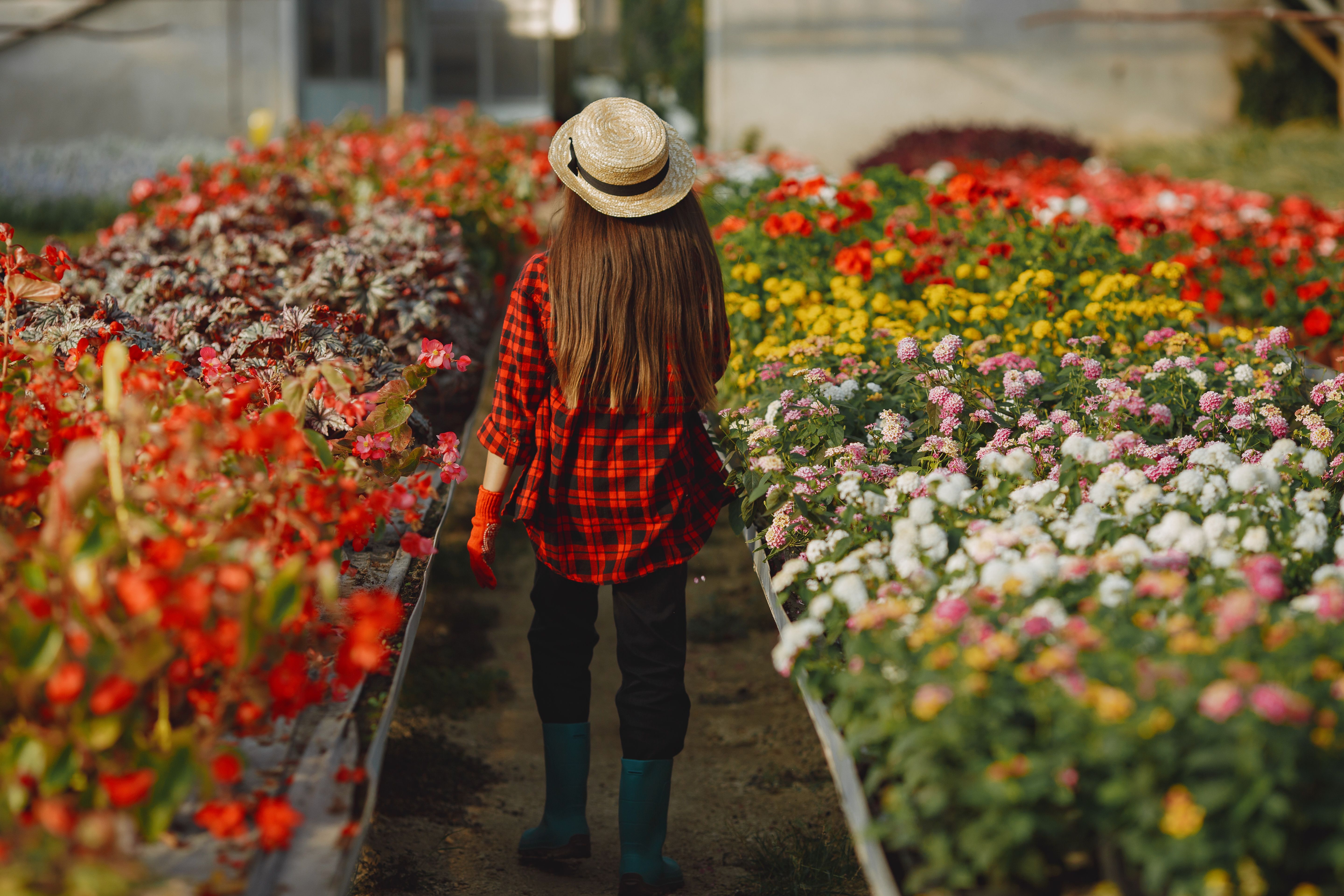 woman walking through a botanical garden - fun things for moms to do