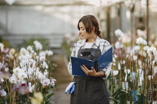 Gratis arkivbilde med blomster, botanisk, botanisk hage