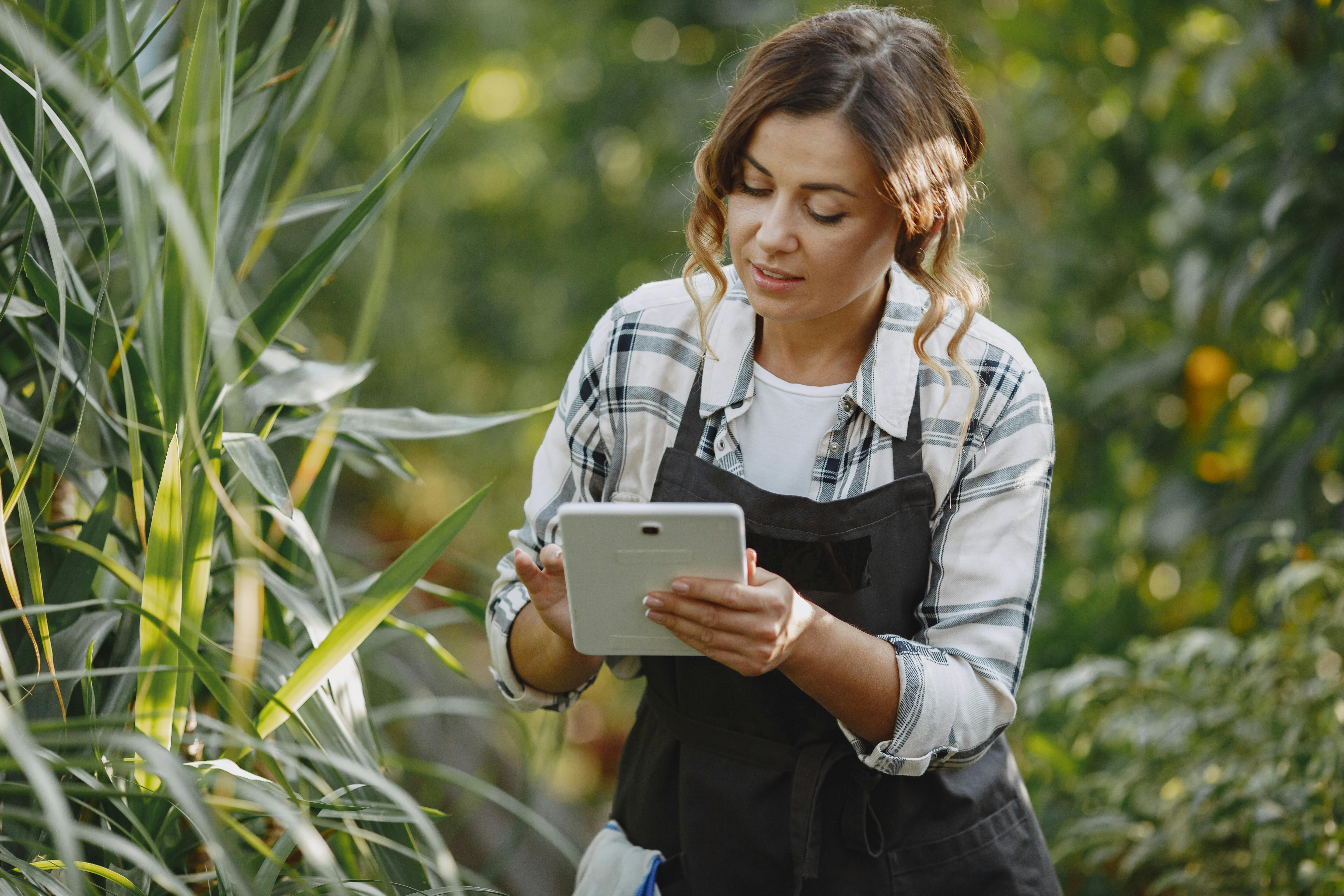 115年科技農企業雙軸轉型計畫，這些你知道嗎？