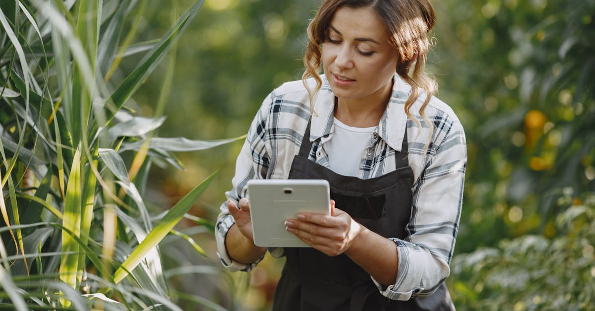 115年科技農企業雙軸轉型計畫,這些你知道嗎?