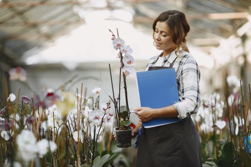 Free Woman in greenhouse holding a potted orchid and clipboard, surrounded by flowers. Stock Photo