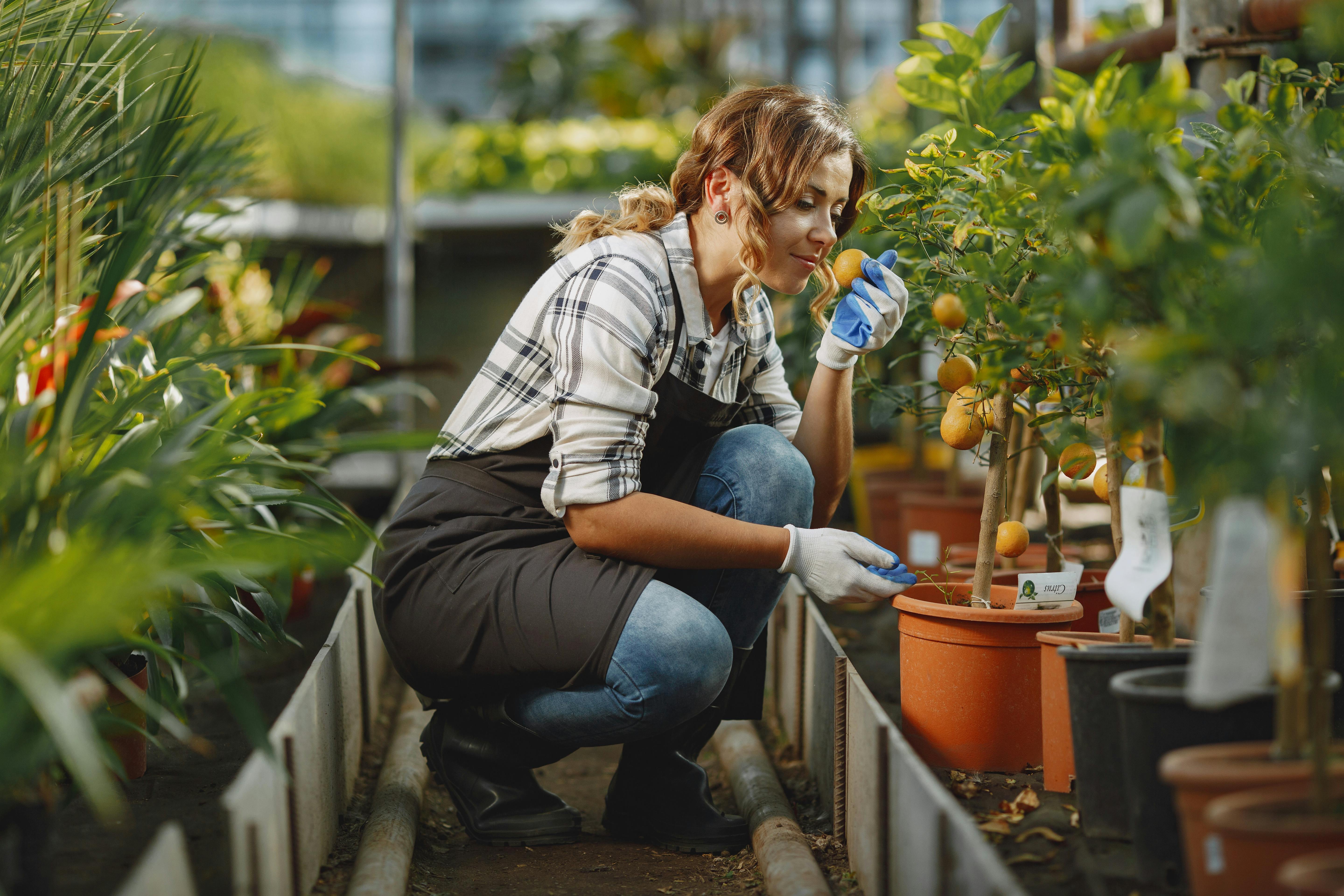 The Gardening Tools That Horticulturalists at America’s Biggest Botanical Centers Swear By — Photo by Gustavo Fring on Pexels