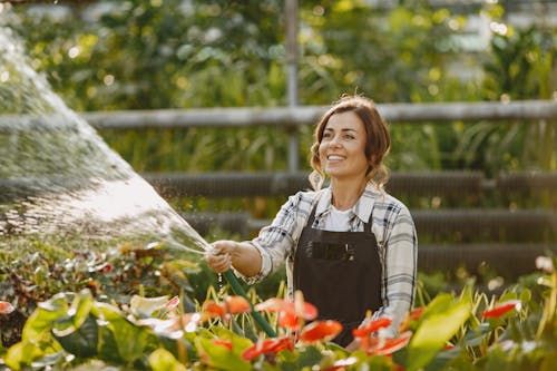 бесплатная Бесплатное стоковое фото с ботанический сад, женщина, заводы Стоковое фото