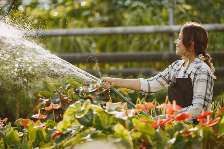 Side View Of Woman Watering The Plants