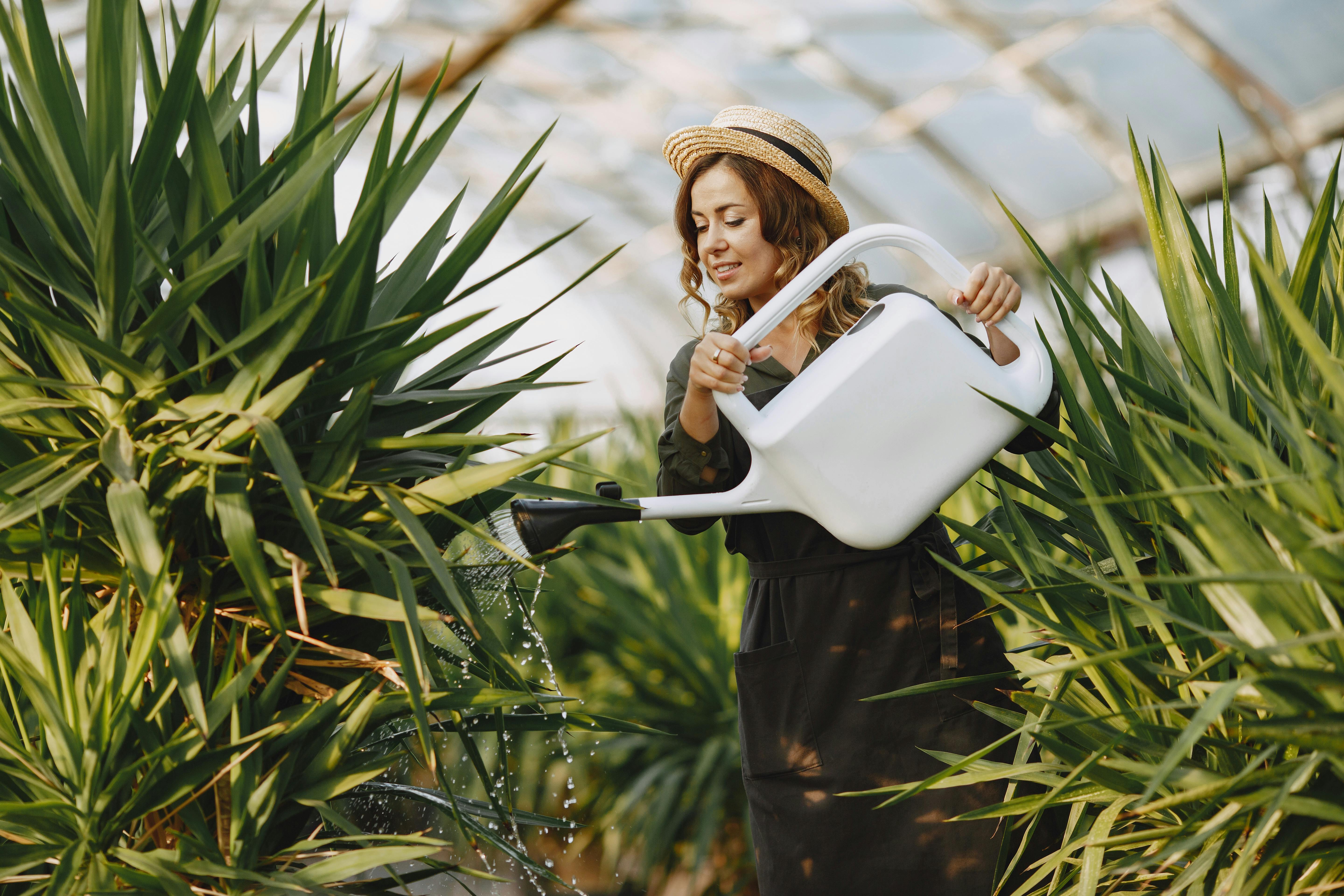 5 gardening tips you can try right in Search — Photo by Gustavo Fring on Pexels