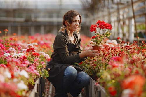 Woman Holding Red Potted Flower