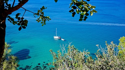 Yacht floating on blue rippling ocean near hill with trees and plants with green foliage in sunny summer day