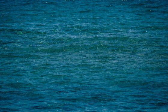 Photo by Francesco Ungaro on Pexels