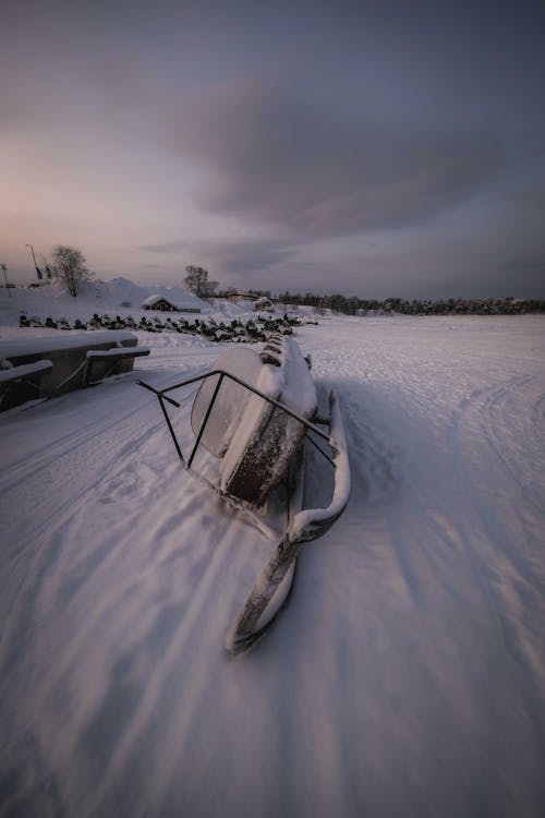 Ilmainen kuvapankkikuva tunnisteilla ajaa, arktinen, flunssa