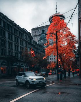 A city street scene after rain with a moving car and autumn trees, featuring urban traffic.
