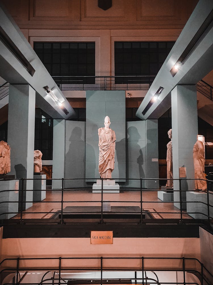 Different Statues And Busts On Pedestals In Museum