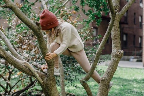 Active girl climbing tree on street