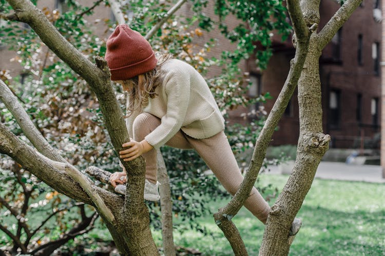 Active Girl Climbing Tree On Street