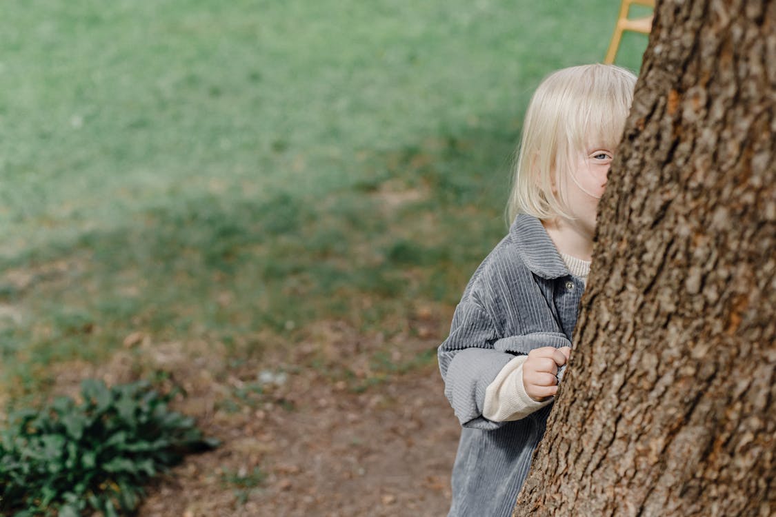 Free From above of cute kid looking at camera while hiding behind tree trunk in park with grassy lawn on blurred background in street Stock Photo