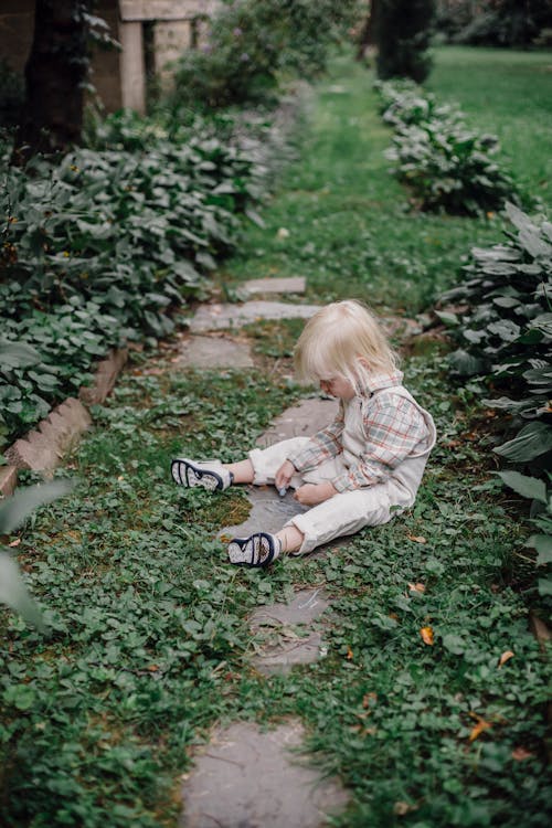 Základová fotografie zdarma na téma aktivita, aktivní, bavit