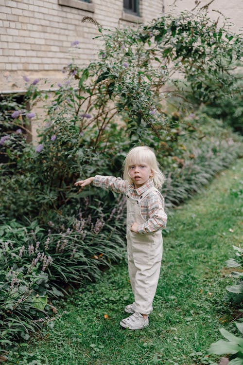 Side view of curious little kid with blond hair in stylish outfit standing on lawn and touching blooming bushes while playing in green garden