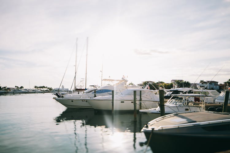 Yachts In Marina