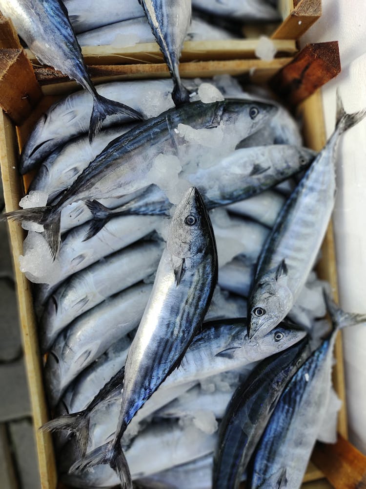 Fresh Fish In A Container With Ice