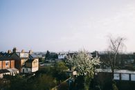 Houses Near Trees Under White Sky