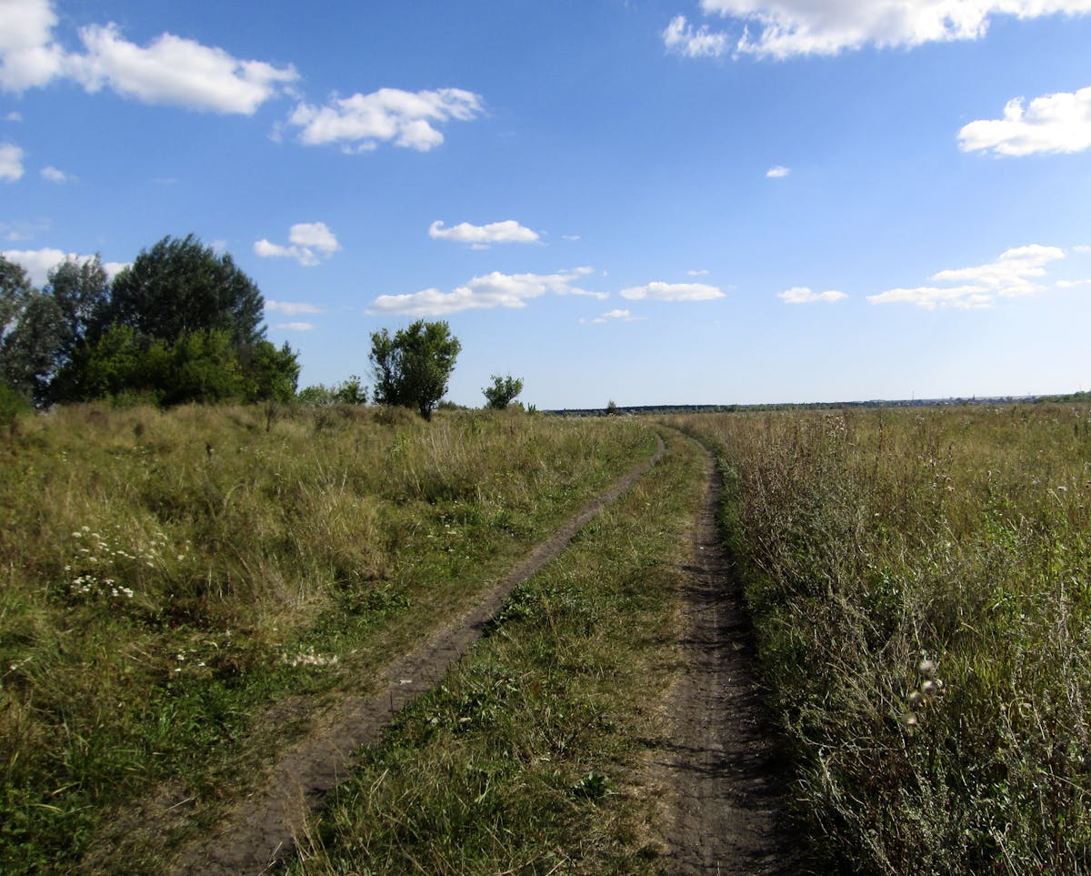 Oil pumpjacks in a sunset landscape, similar to the setting of Landman