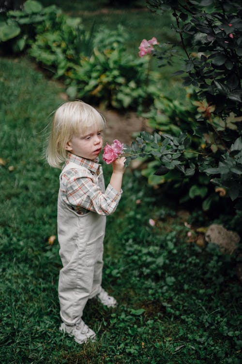 Garota Em Camisa Xadrez Branca E Vermelha E Calça Cinza Segurando Flor Rosa