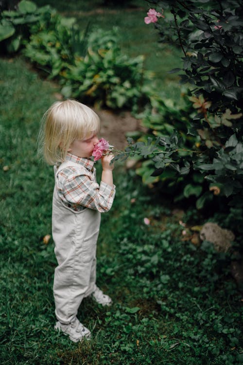 Ragazza In Camicia Elegante Scozzese Bianca E Marrone E Pantaloni Grigi In Piedi Sul Campo Di Erba Verde