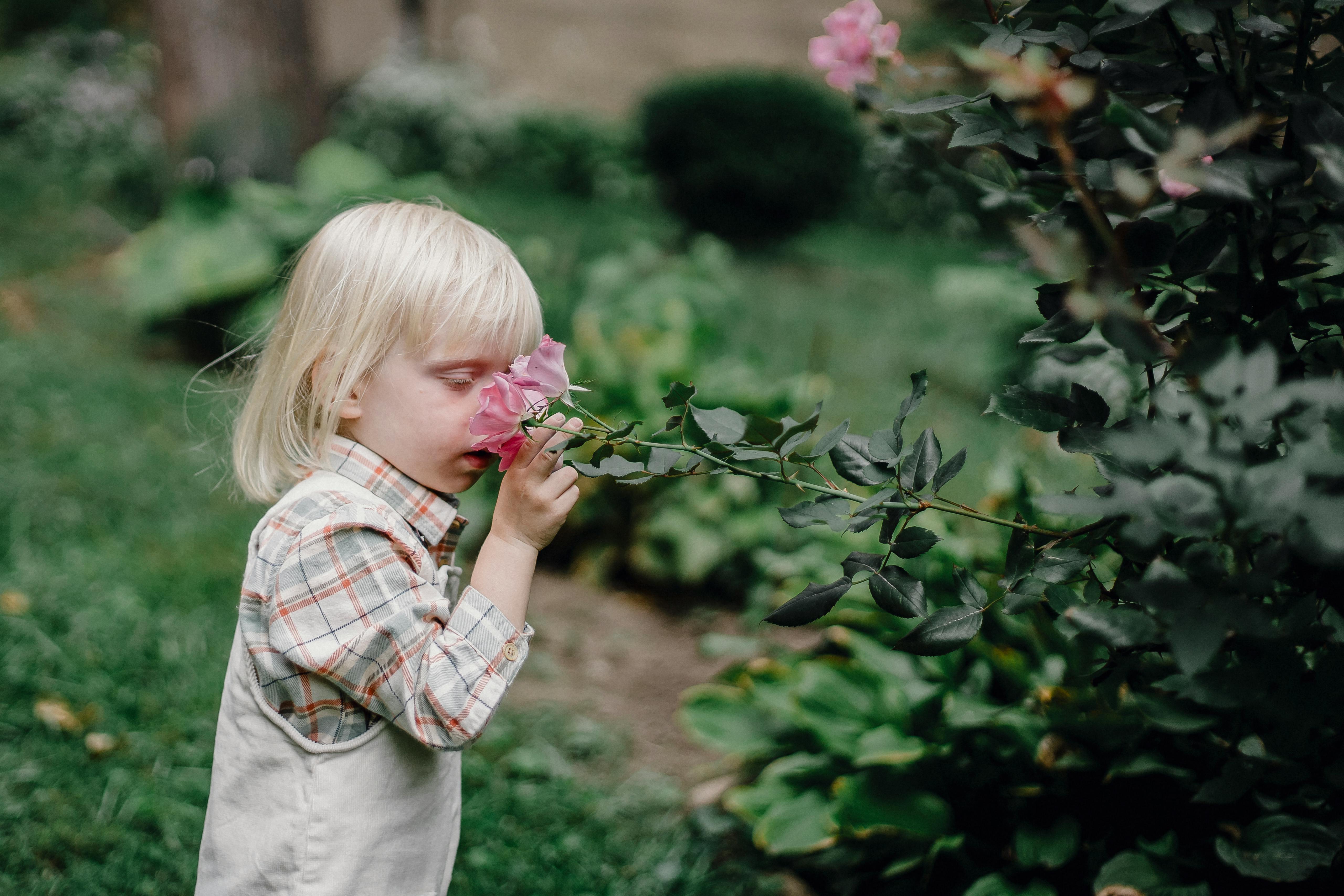 Stylish little child smelling flower in garden · Free Stock Photo