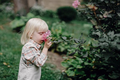 Menina Em Camisa Xadrez Branca E Marrom Perto De Flores Cor De Rosa