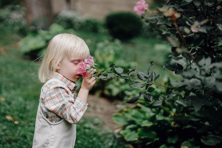 Stylish Little Child Smelling Flower In Garden