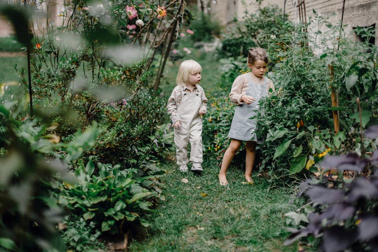 Cute Siblings Resting In Green Garden