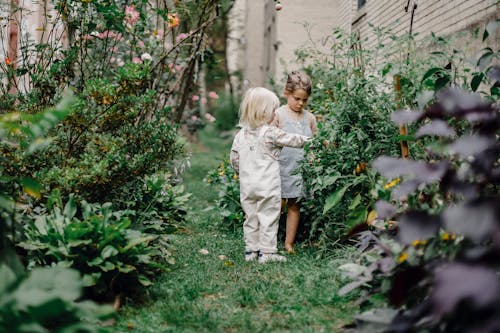 Free Calm stylish children spending time together in garden Stock Photo