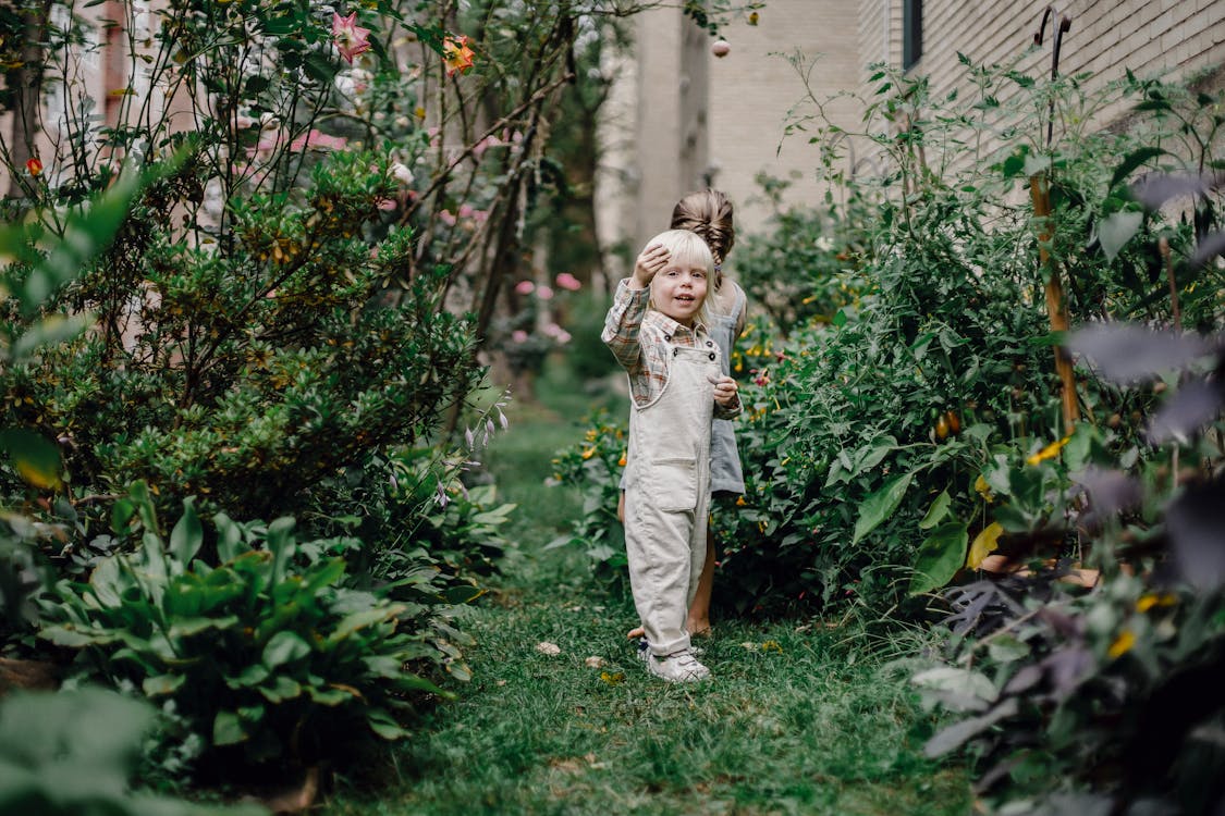 Side view of content adorable little children with blond hair playing together in backyard near lush blooming plants