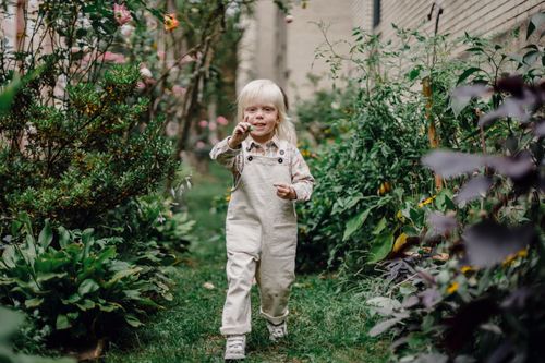 Free Full body of positive little boy with blond hair in casual outfit walking on grassy lawn amidst green plants and showing picked berry Stock Photo