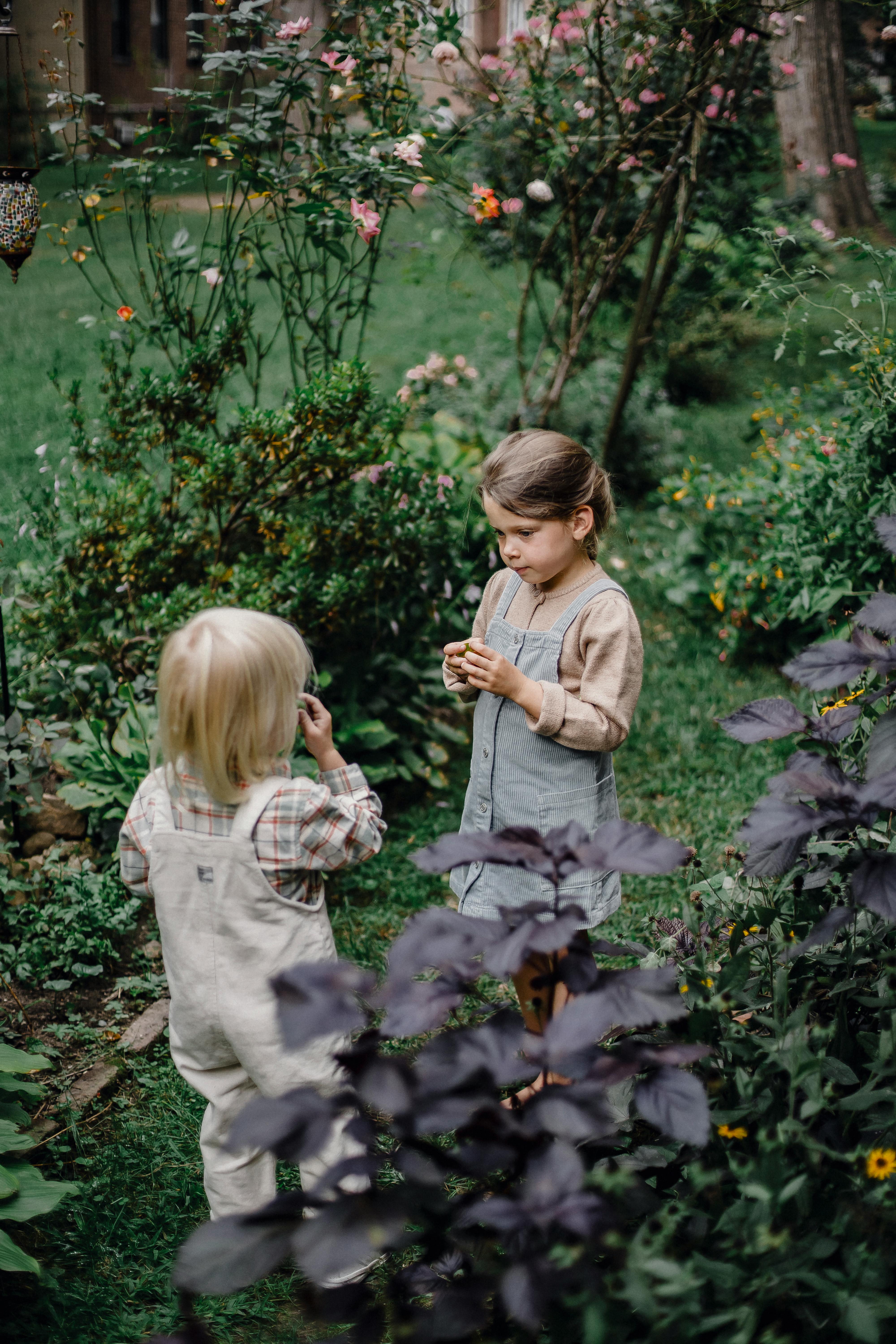 adorable children spending time together in blooming garden