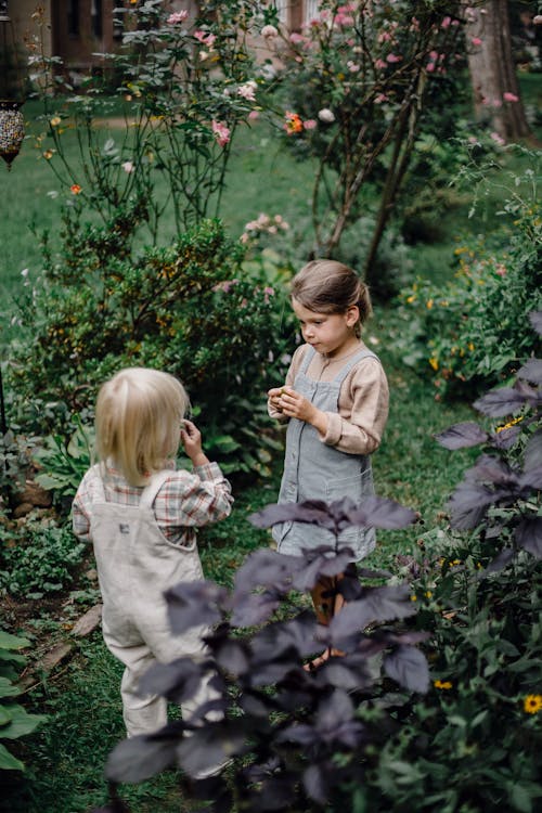 High angle of focused little girl and boy standing in green garden near plants and enjoying smell of picked flowers